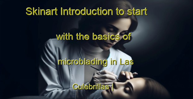 Skinart Introduction to start with the basics of microblading in Las Culebrillas | MicrobladingTraining | MicrobladingClasses | SkinartTraining-Mexico